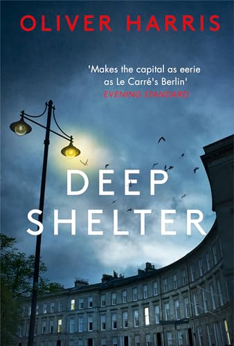 Deep Shelter (A Nick Belsey Novel)